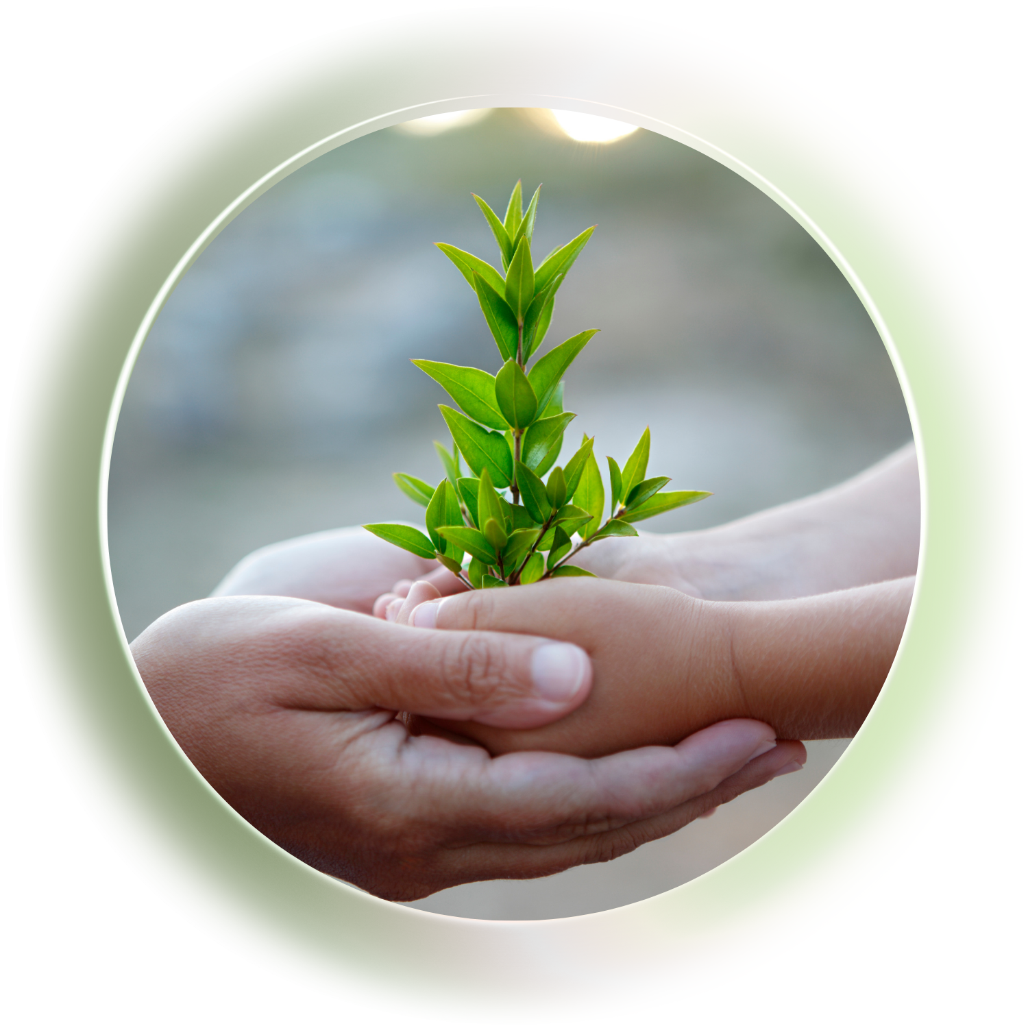 Symbolbild für Alltagshilfe und Pflege