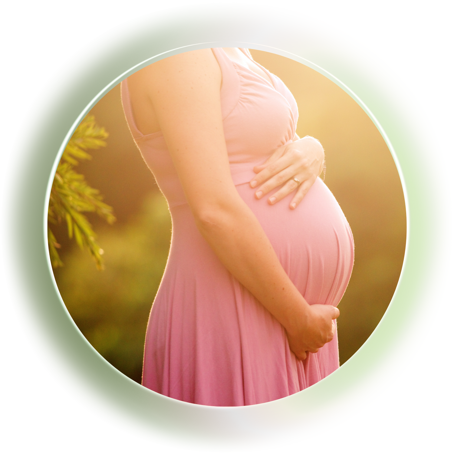 Symbolbild für Unterstützung während der Schwangerschaft