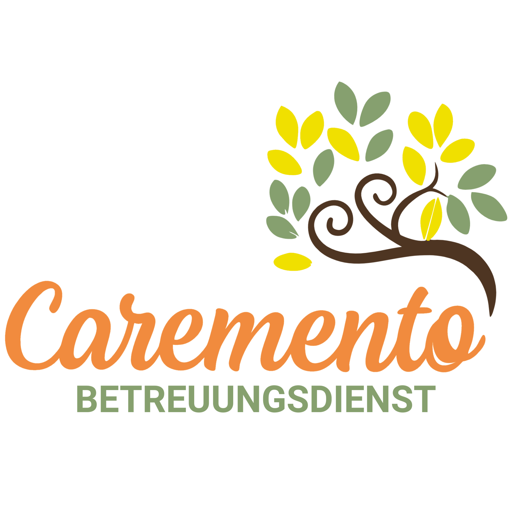 Caremento Logo